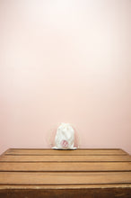 Santa Deer on Light Canvas Mini Drawstring Pouch