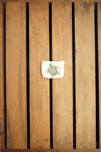 Turtles in Assorted Colors on Natural Canvas Coin Purse (two sided embroidery)